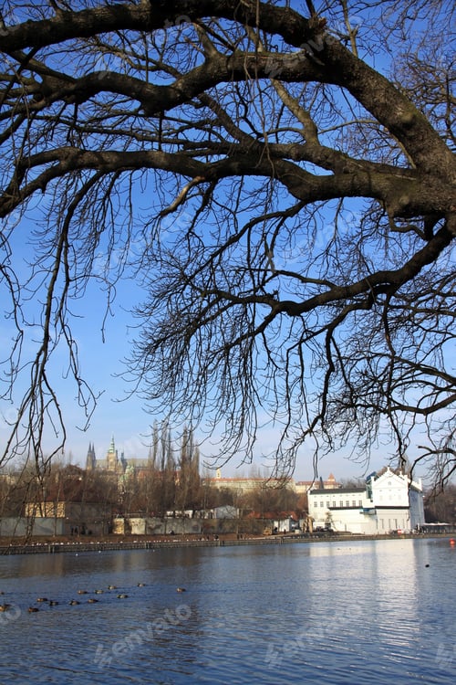 Preview: Colorful Prague Gothic Castle On The River Vltava With Owlã?´S Mills