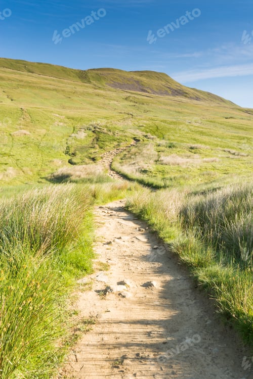 Preview: Path To Whernside In The Yorkshire Dales