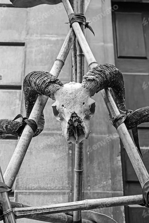 Preview: Male Goat Skull With Horns, Symbol And Animals