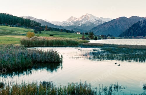 Preview: Misty Autumn Scene Of Haidersee (Lago Della Muta) Lake With Ortler Peak On Background. Splendid