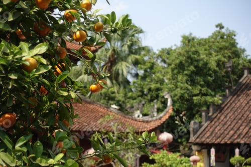 Preview: Haiphong Cityscape And Landmarks