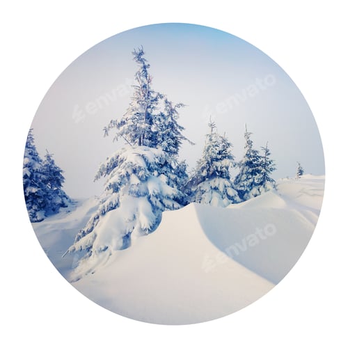 Preview: Round Icon Of Nature With Landscape. Frosty Winter Morning In Carpathian Mountains With Snow
