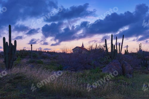 Preview: Panorama Of The Desert Expanses And With Thorny Plants Of Cactus Aruba Island At Sunset