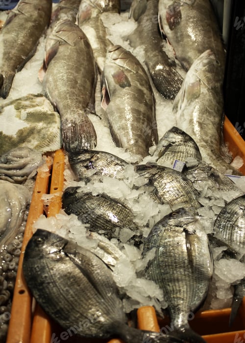 Preview: Sardines In Fish Counter, Food And Market