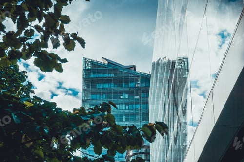 Preview: Modern Office Facades With An Green Tree In The Foreground