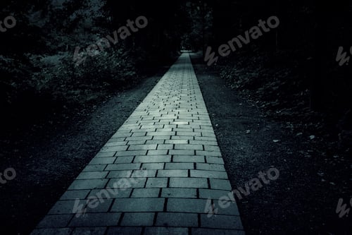 Preview: Tiled Path In Forest, Landscape And Nature