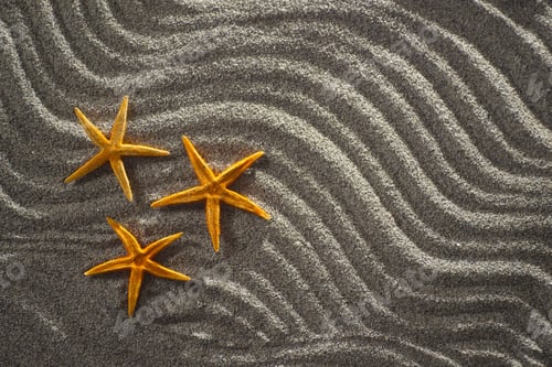 Preview: Of Light Gray Sand Background Designed With Three Starfish Orange