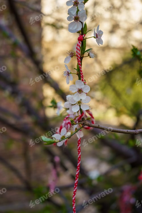 Preview: Martenitsa On A Tree, Bulgarian Springtime Tradition
