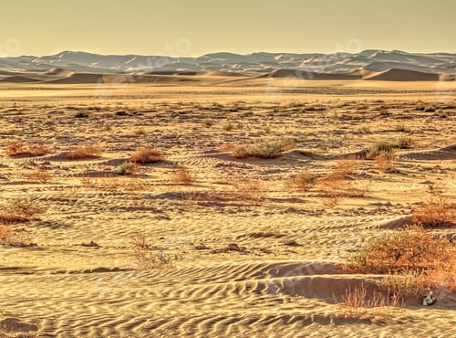 Preview: Sahara Desert In Algeria Near Timimoun, Hdr Image