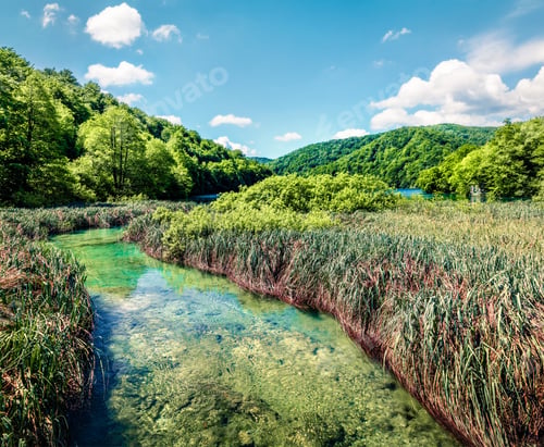 Preview: Picturesque Morning View Of Plitvice National Park. Colorful Spring Scene Of Green Forest. Great