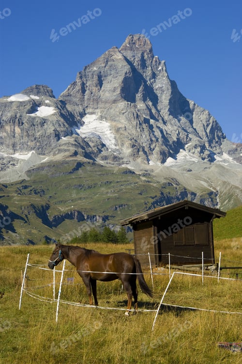 Preview: Alps Matterhorn