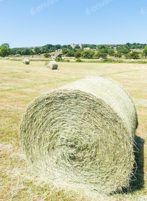 Preview: Hay Bales And Bolton Castle