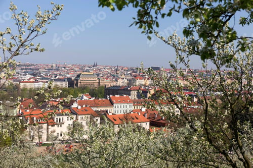 Preview: View On The Spring Prague City With The Green Nature And Flowering Trees, Czech Republic