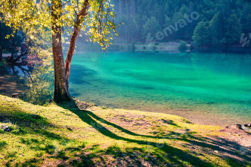 Preview: Stunning Summer View Of Fusine Lake. First Rays Of The Sun Sparkle Through The Green Leaves Of The