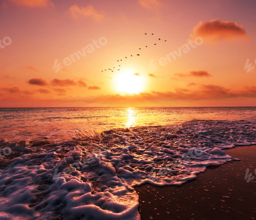 Preview: Sea Sunset