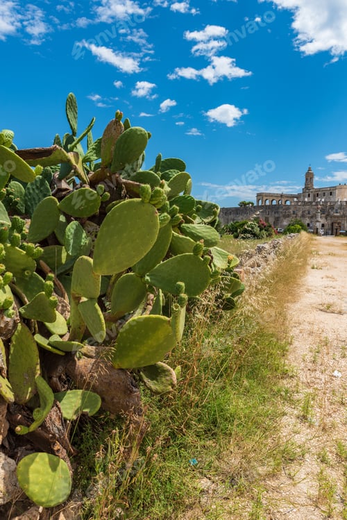 Preview: Enchanted Sea. Boats In The Bay Of The Abbey Of San Vito