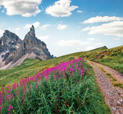 Preview: Exciting Morning Scene Of Dolomiti Alps With Cimon Della Pala Mountain Range On Background