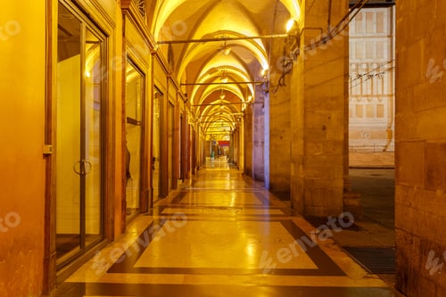Preview: Bologna. The Traditional City Gallery.