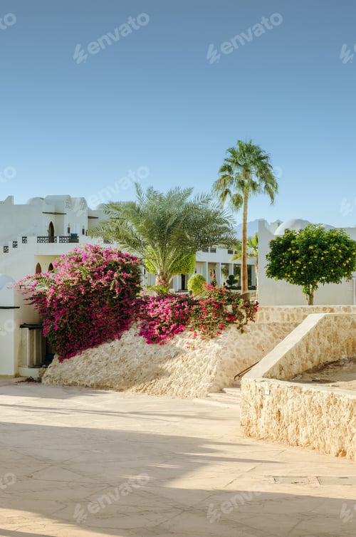 Preview: White Houses Of Egypt Resort Hotel And Beautiful Flowers Of Landscape Design At Hotel Park