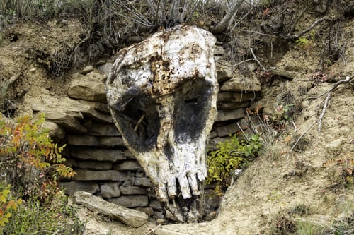 Preview: Stone Skull In Forest, Park Of The Unveiled, Navarre