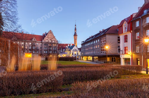 Preview: Tallinn. Old Medieval Street.