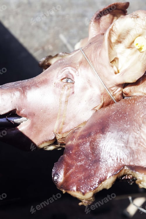 Preview: Grilled Pork In Celebration, Animals And Food