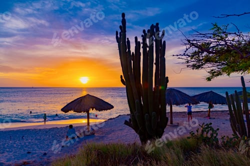 Preview: Colorful And Brilliant Sunset On The Coast Of The Caribbean Sea In The Island Of Aruba