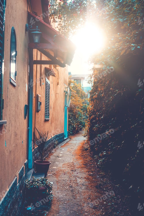 Preview: Lone Street With Warm Sunlight