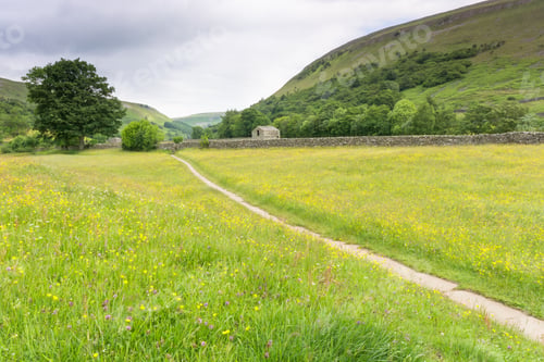 Preview: Muker Hay Meadows In June