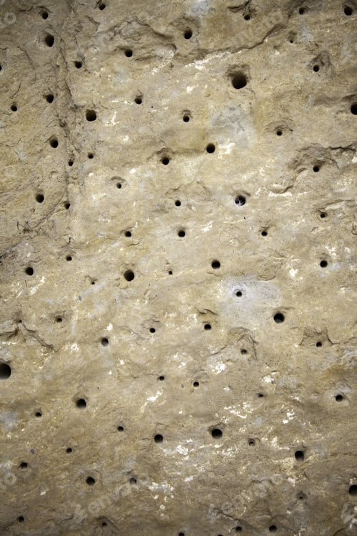 Preview: Stone Wall With Holes, Construction And Architecture, Tryphobia