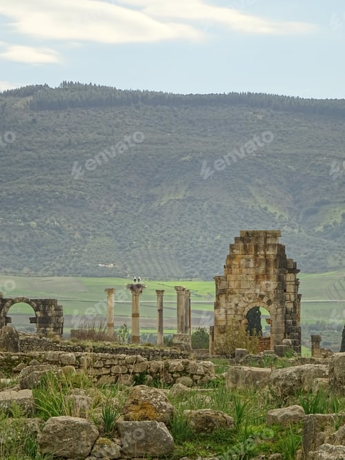 Preview: Volubilis, Morocco