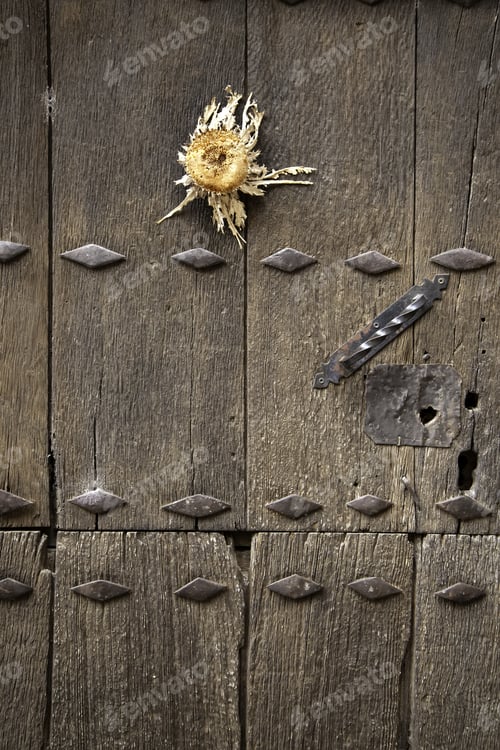 Preview: Lock On Wooden Door, Construction And Architecture, Textures