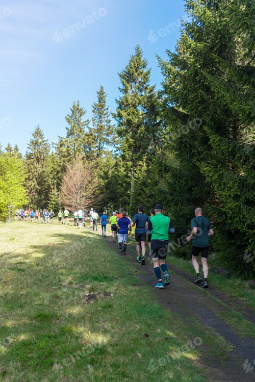 Preview: Athletes Trail Running In A Forest