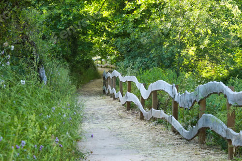 Preview: Amazing Path In The Countryside. Hiking Trail Surrounded By Vegetation And Big Trees
