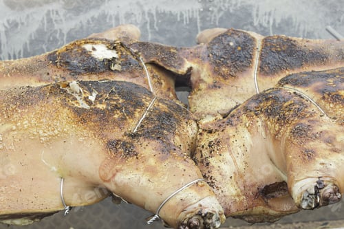 Preview: Pig Roast And Barbecue Roasted Town Celebration
