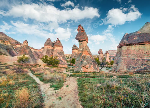 Preview: Unusual Fungous Forms Of Sandstone In The Canyon Near Cavusin Village, Cappadocia, Nevsehir