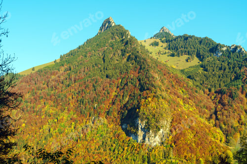 Preview: Scenic Landscape With Colorful Autumn Forest In The Alps Mountains, Gruyeres, Switzerland