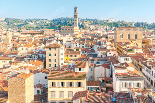 Preview: Florence. View Of The City From Above .