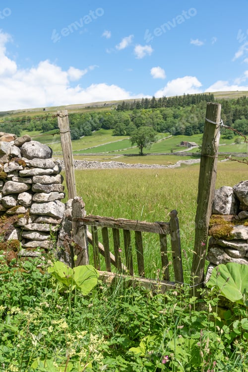 Preview: Overgrown Gate In Wharfedale In The Yorkshire Dales