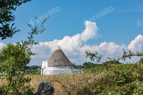 Preview: Trulli In The Itria Valley. Puglia, Italy.