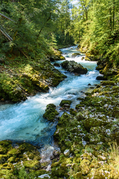 Preview: Vintgar Gorge. Slovenia