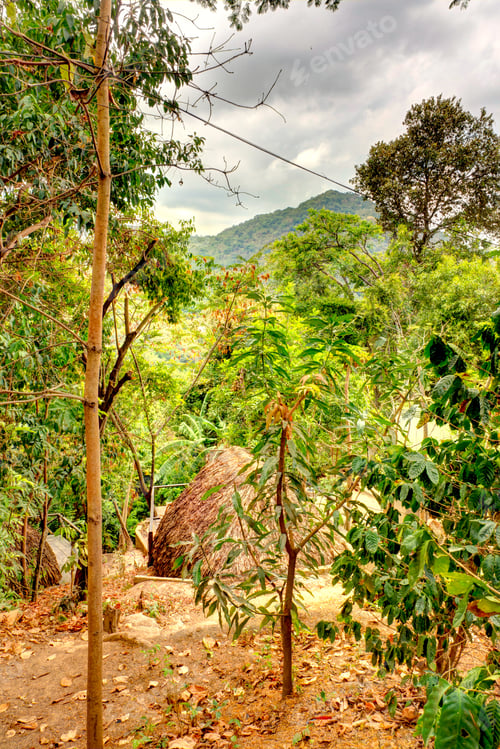 Preview: Minca, Picturesque Village In The Sierra Nevada, Colombia