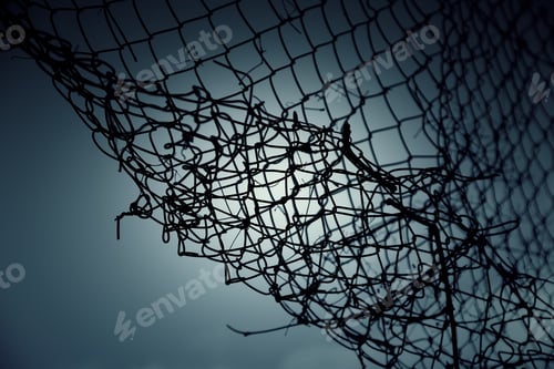 Preview: Segregation Wire In Refugee Camp, Freedom And Prison, Immigration