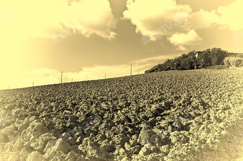 Preview: Plowed Hills Of Tuscany In The Autumn, Vintage Style Toned Picture