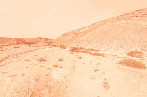 Preview: Breathtaking Landscape Of The Rock Formations In The Israel Desert At Dawn In A Contemporary Style