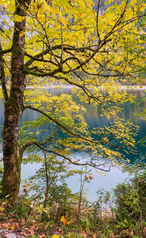 Preview: Gosauseen Or Vorderer Gosausee Lake, Upper Austria. Colorful Autumn Alpine View Of Mountain Lake