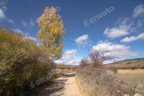 Preview: Autumn Country Alcala De La Selva Teruel Aragon Spain