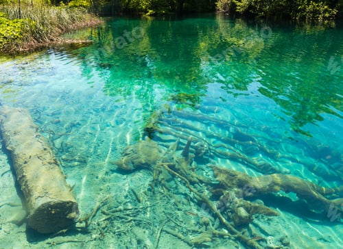 Preview: Summer Azure Limpid Transparent Lake View And Trunk Of Dry Tree At Bottom (Plitvice Lakes National