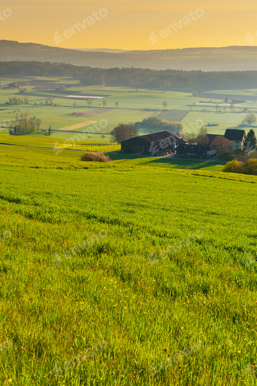Preview: Swiss Village Surrounded By Meadows On The Background Of Snow-Capped Alps