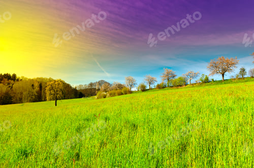 Preview: Flowering Trees Surrounded By Sloping Meadows, Switzerland